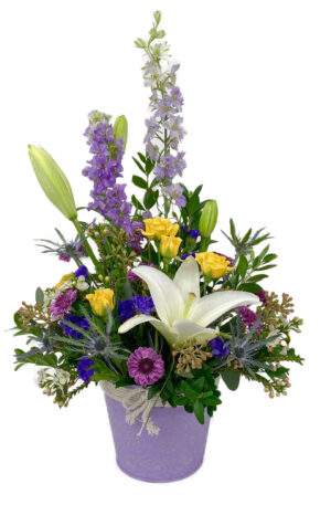 Cheerful Spring