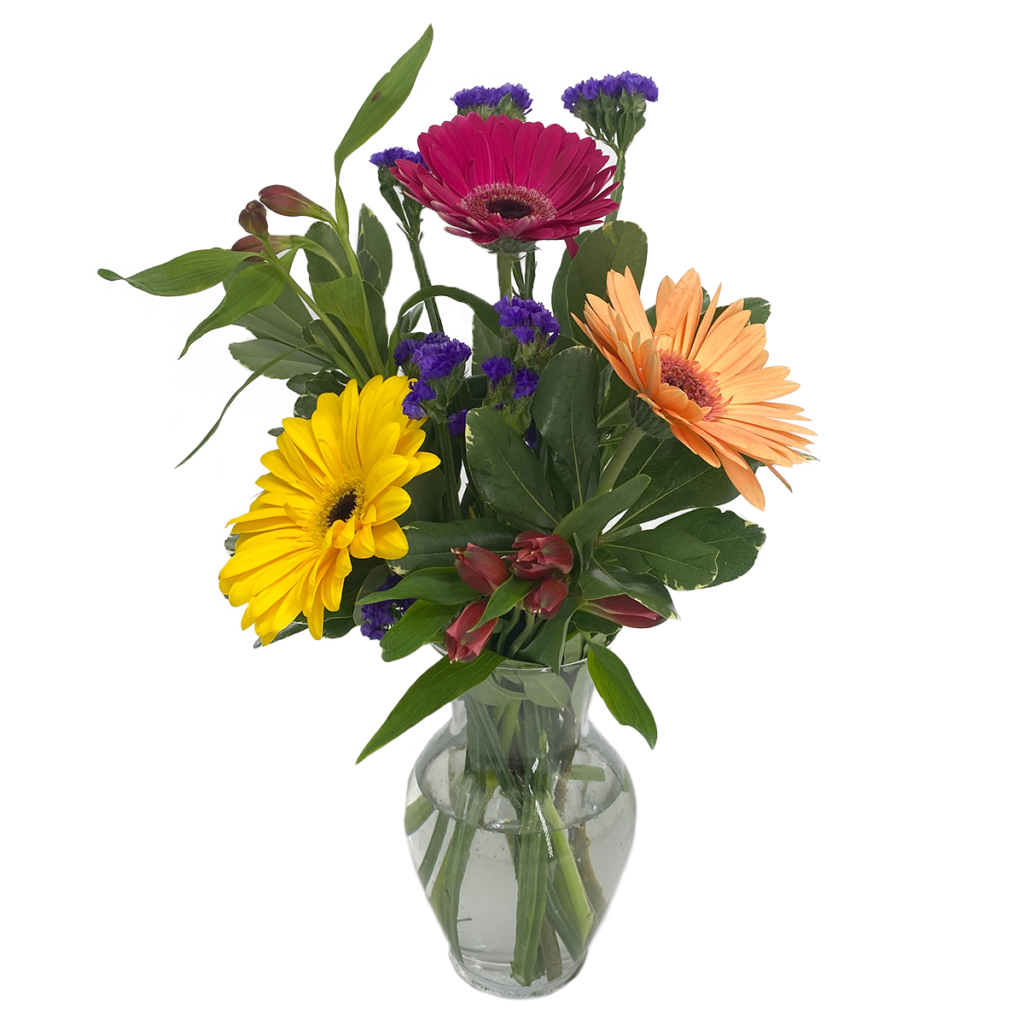 Colorful floral arrangement with gerberas in a vase, perfect for birthdays and anniversaries.