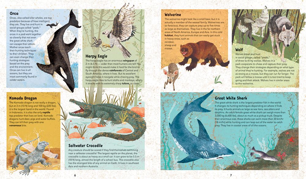 Barefoot Books Incredible Animals – Incahoots Barefoot Books Incredible Animals – Incahoots
