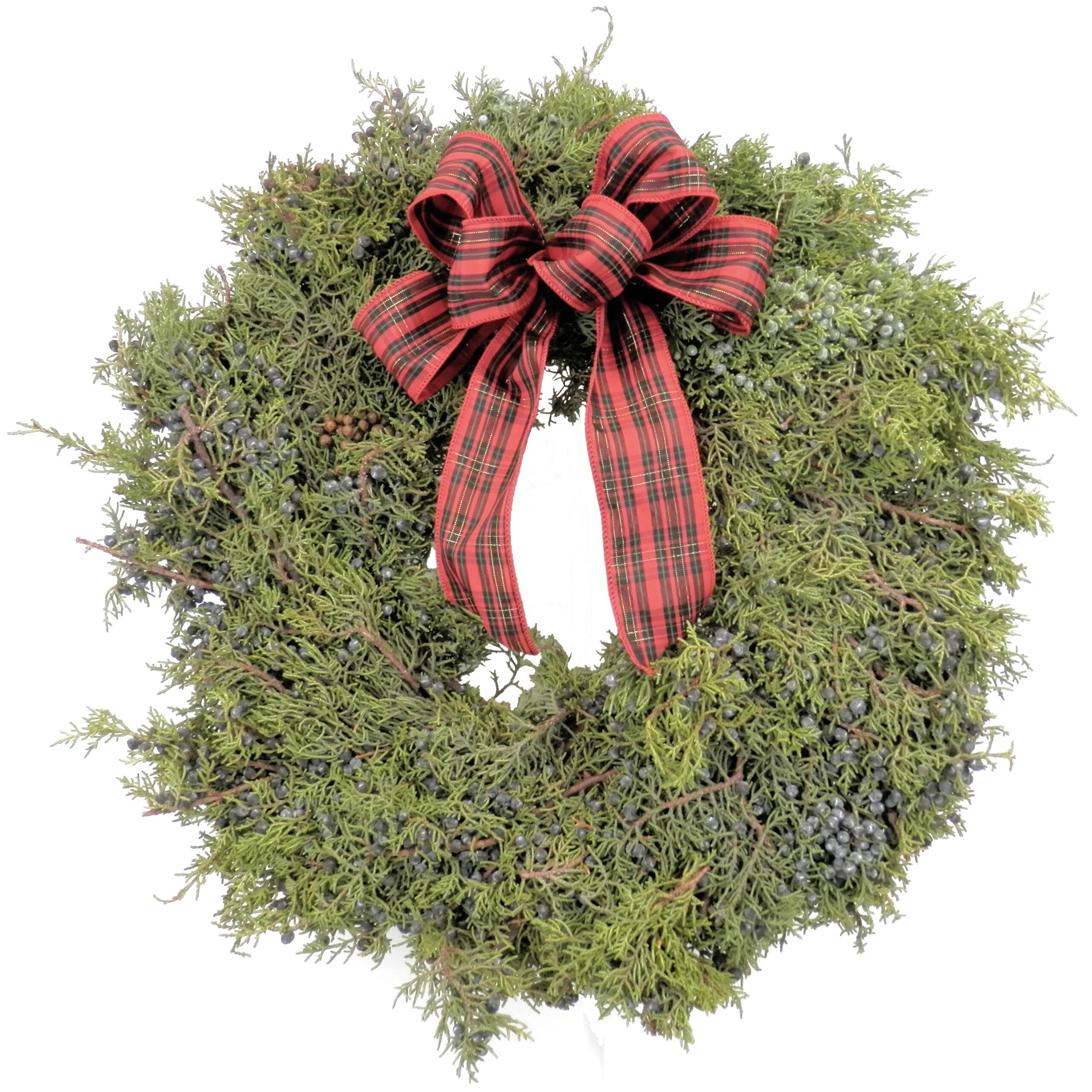 Juniper Wreath