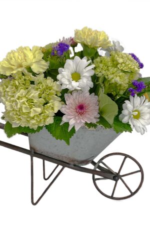 Wheelbarrow of Blooms - Standard