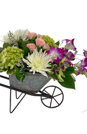 Wheelbarrow of Blooms - Deluxe