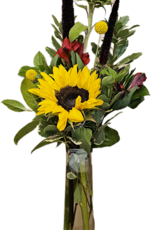Simply Sunflowers