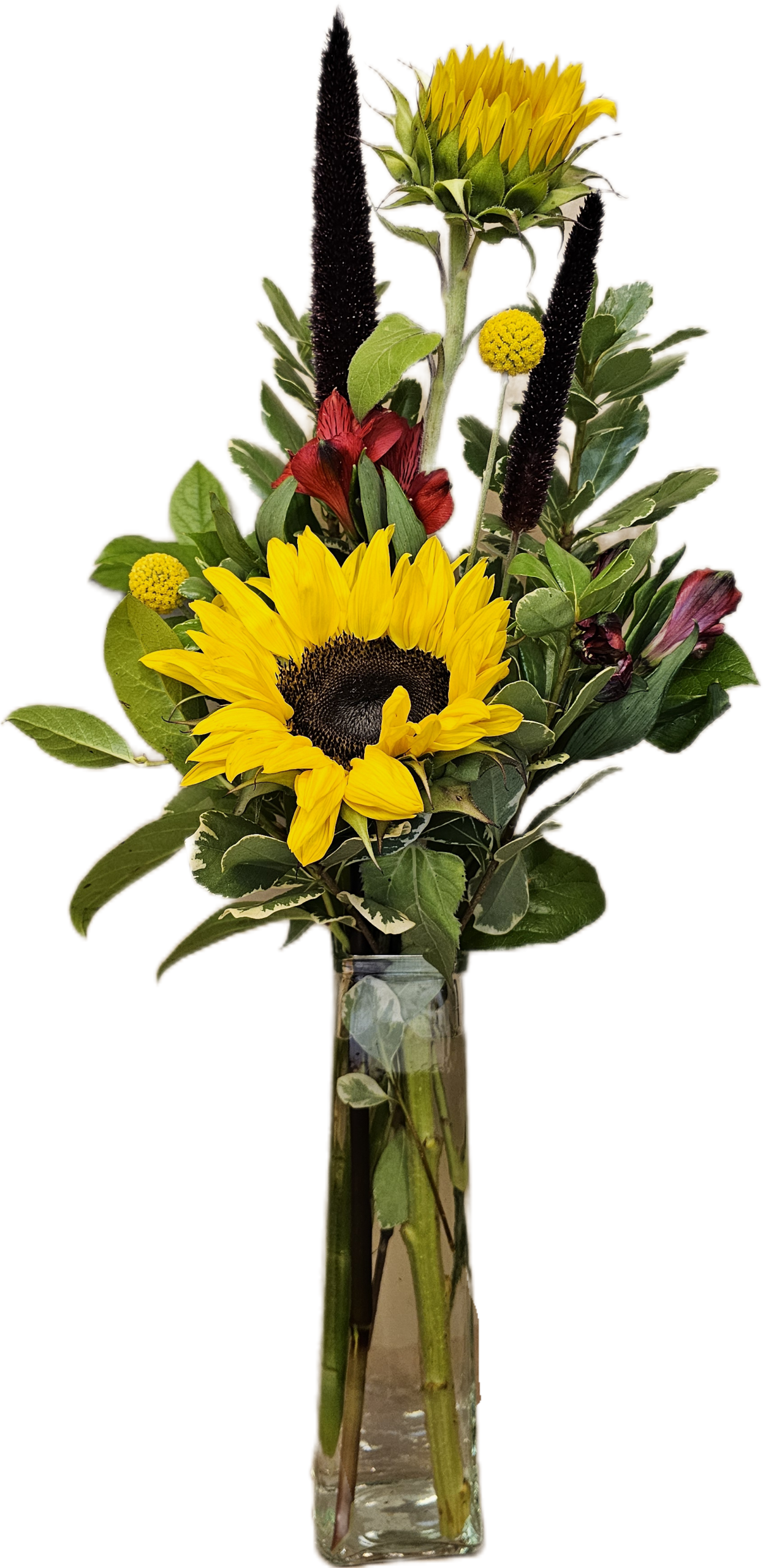 Simply Sunflowers