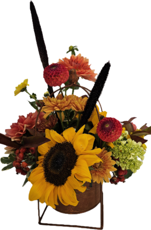Rustic Fall - Premium