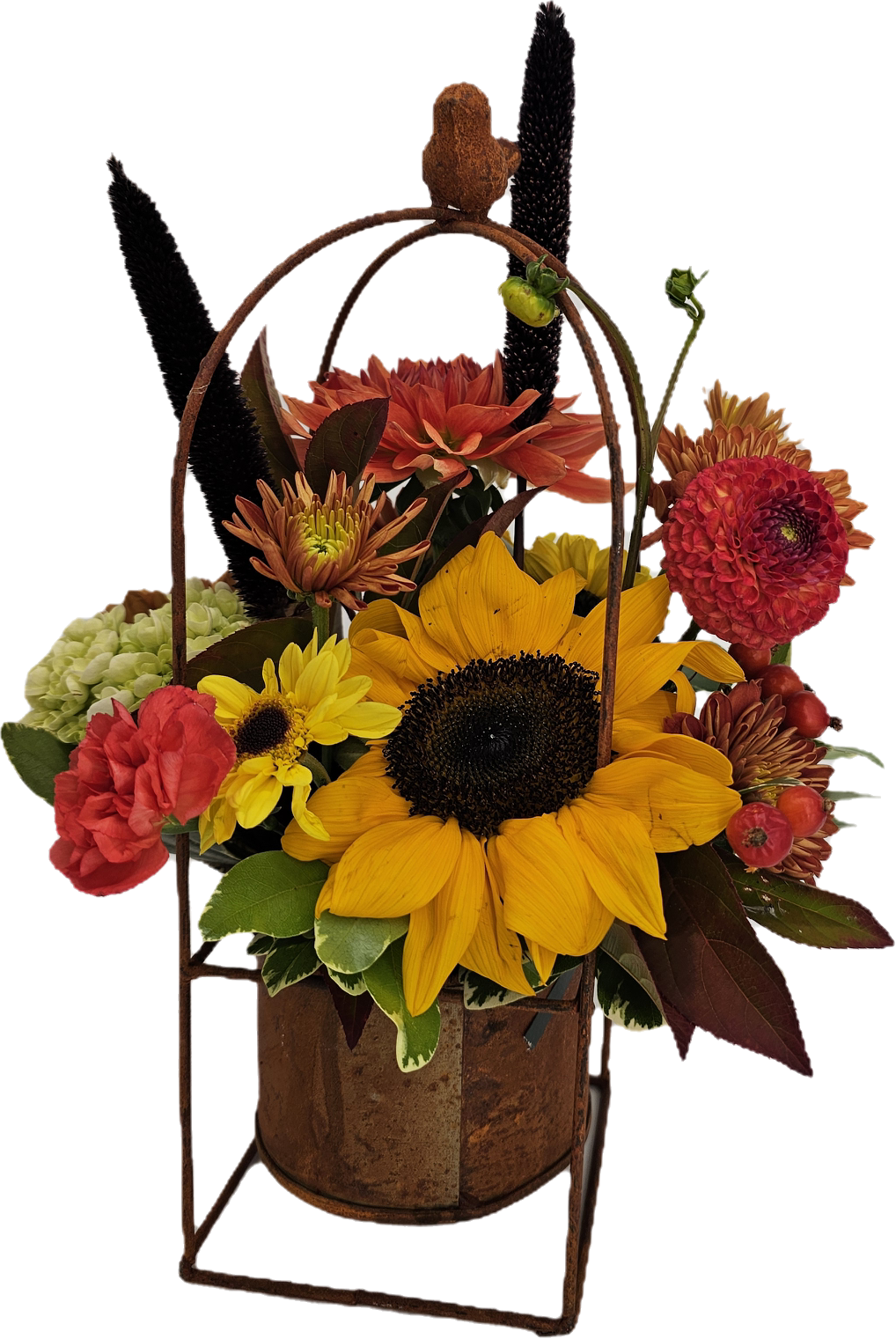 Rustic Fall - Standard
